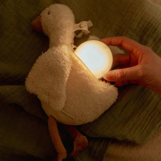Luce Notturna con suoni - Little Dutch