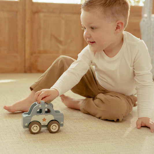 Macchina polizia con personaggio