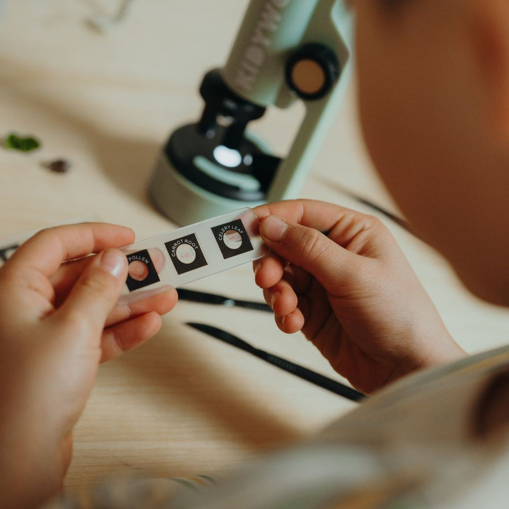 Microscopio Zoom x50x50x1000  - Verde