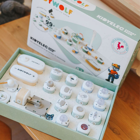 Circuito Elettrico - 18 pezzi