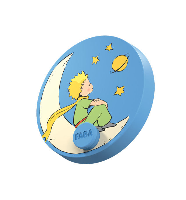 IL PICCOLO PRINCIPE