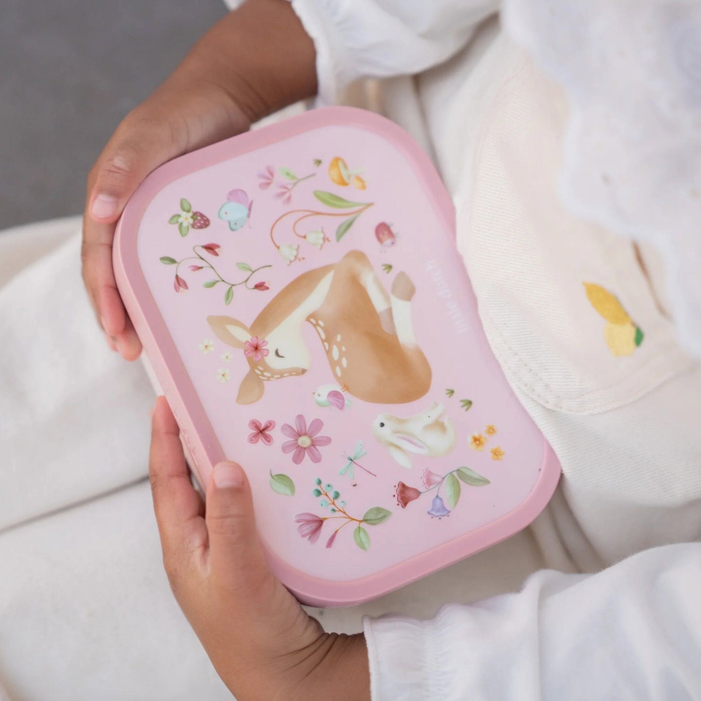 Lunch box Fairy Garden