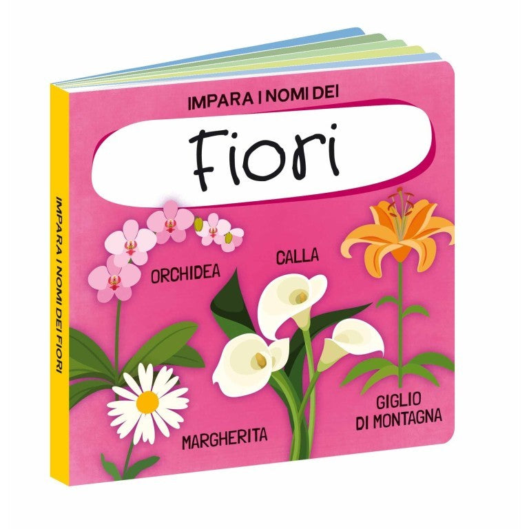Q-box. Il mondo dei fiori