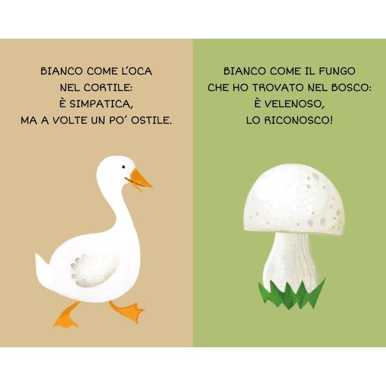 La mia Prima Biblioteca: I Colori