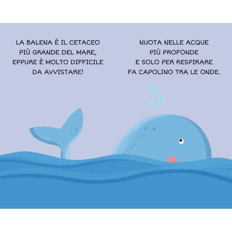 La mia Prima Biblioteca: Il Mare