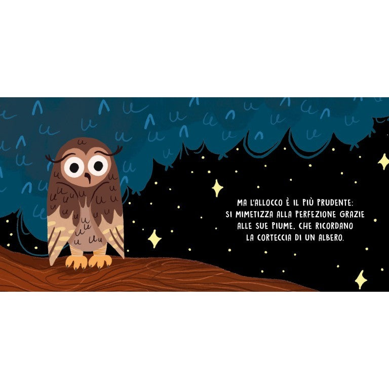 Dolci Storie Sonore.Gli animali della notte