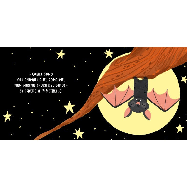 Dolci Storie Sonore.Gli animali della notte